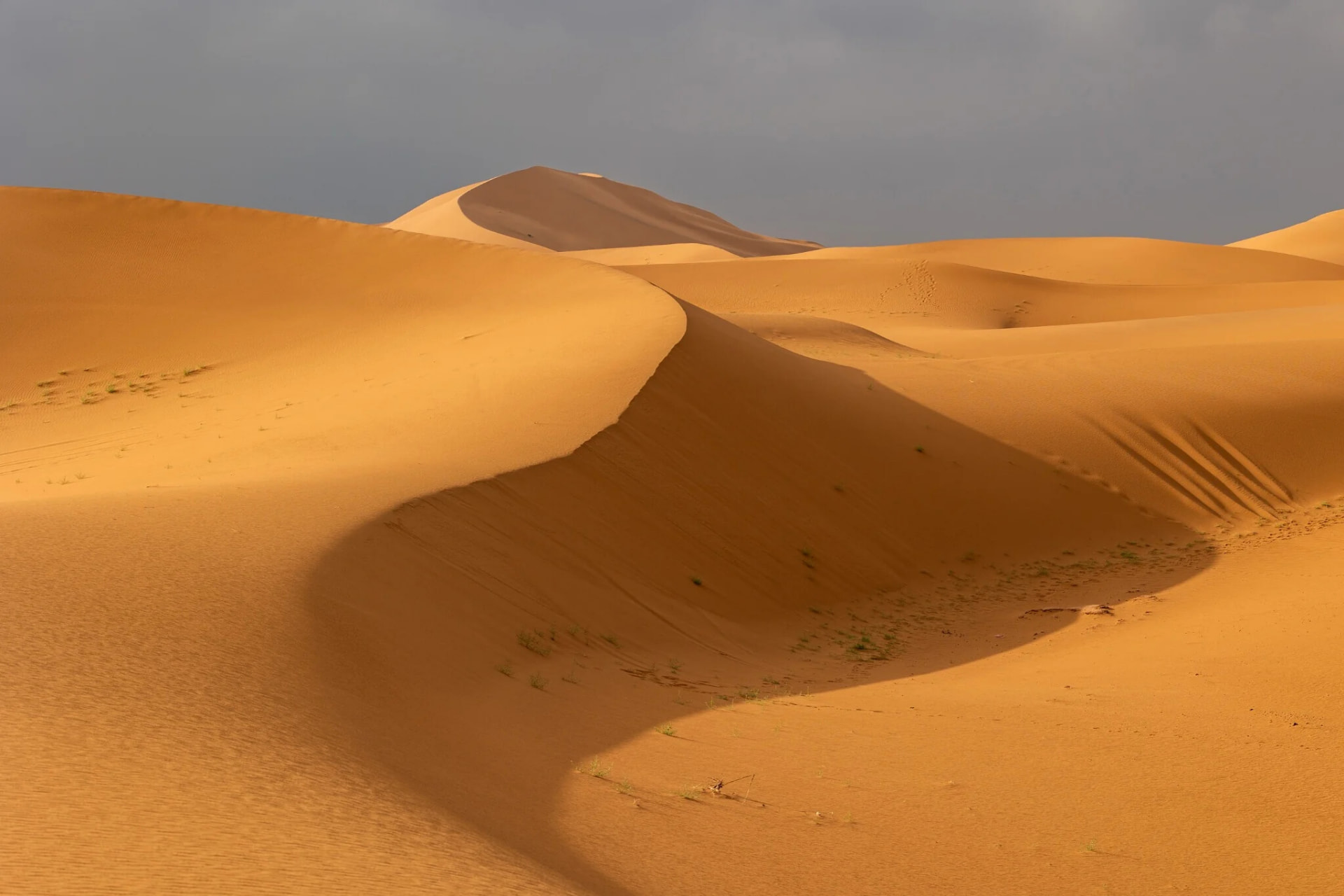Sculpted ridges of the Erg Chebbi dunes catching low golden light under a grey sky