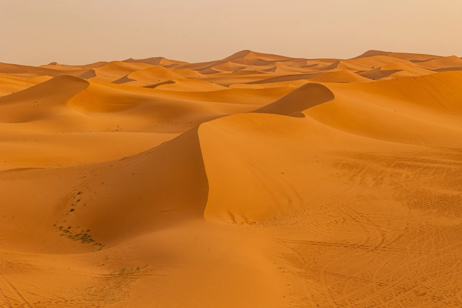 Wide sweep of the Erg Chebbi sand dunes with sandboarding slopes at golden hour