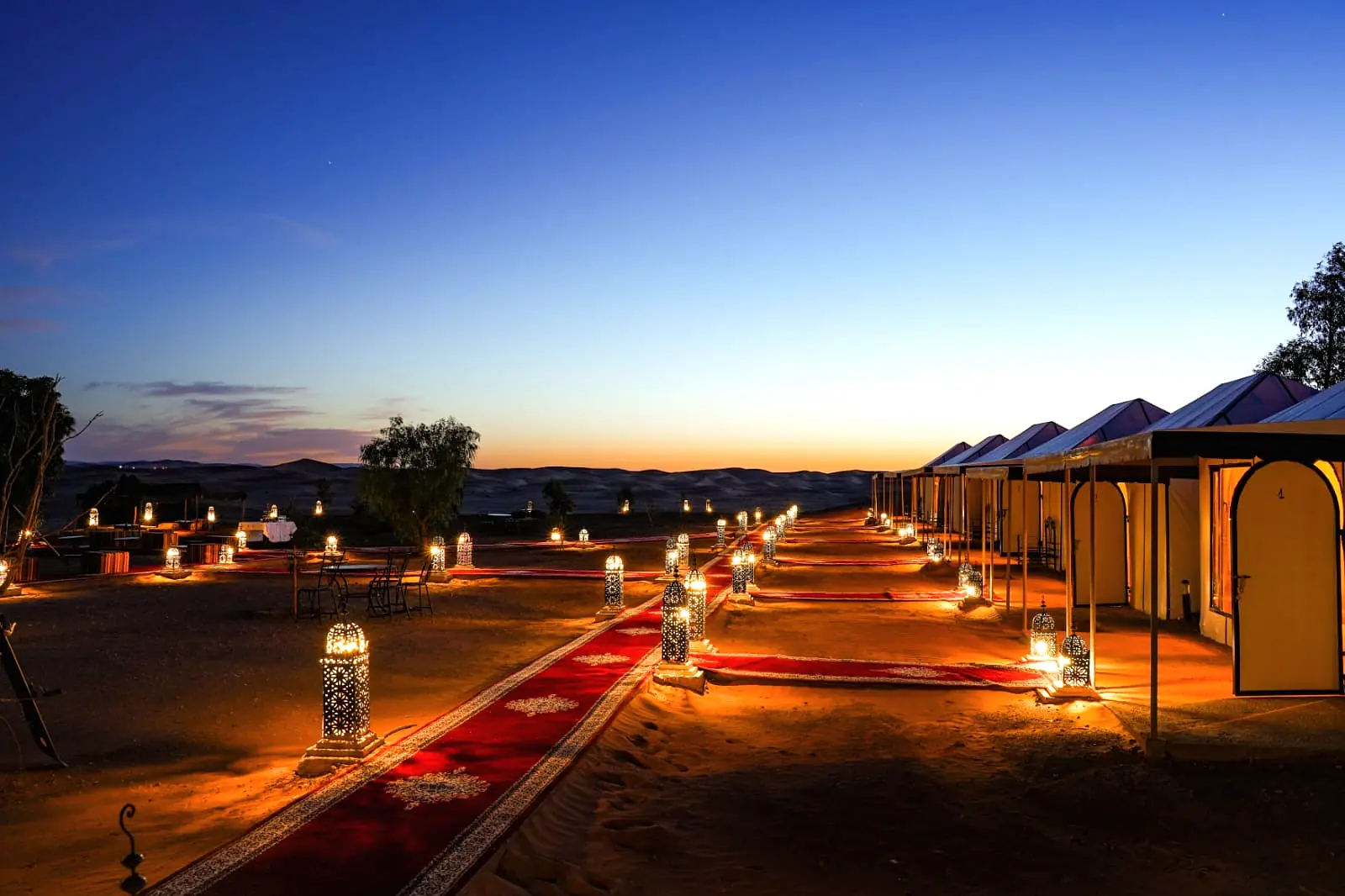 Red carpet walkway lined with ornate glowing lanterns leading through the camp at twilight