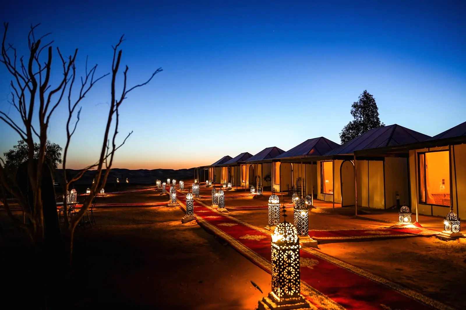 Row of white desert tents at dusk, each glowing from within, with lanterns along the paths