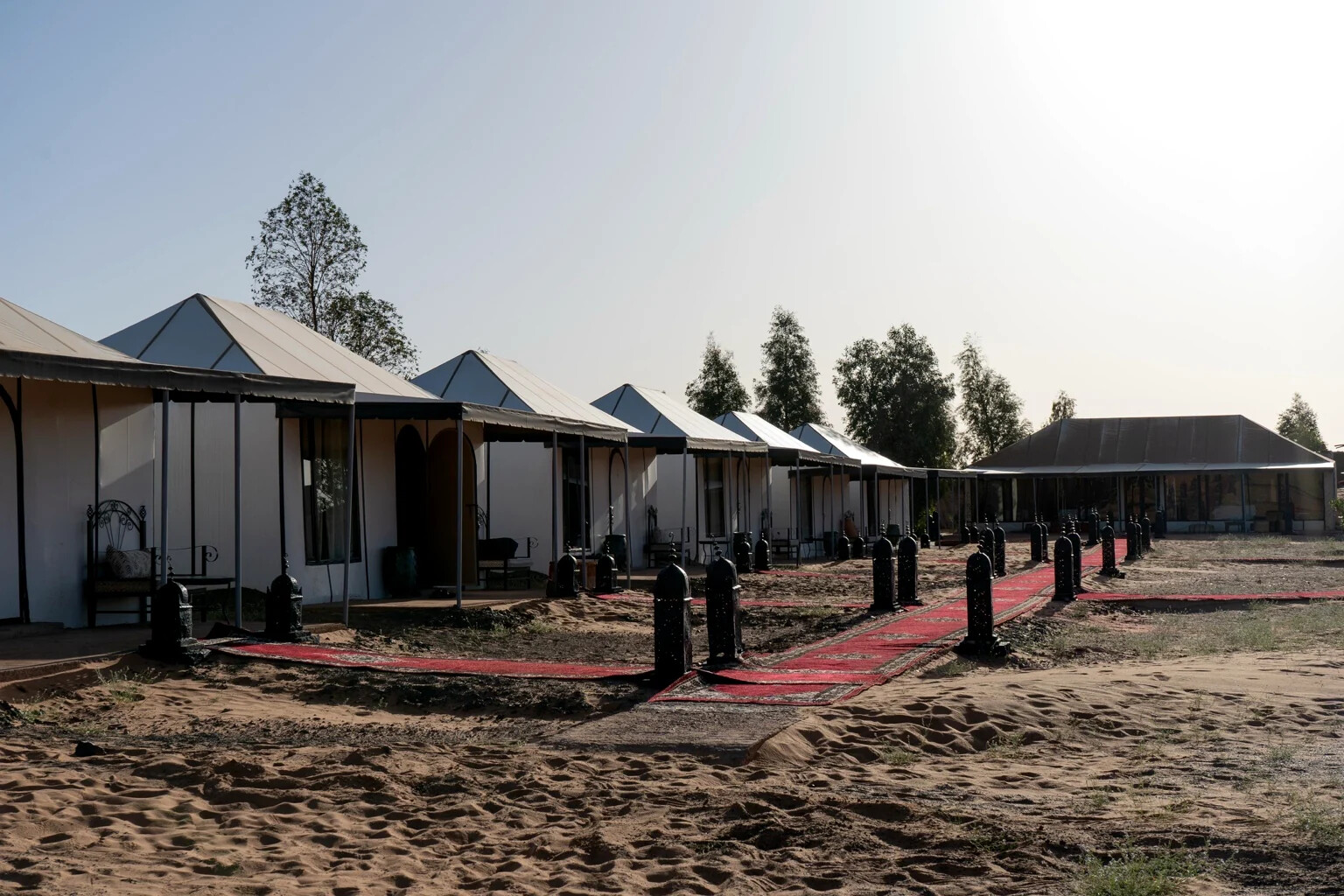 Row of white desert tents in daylight with a red carpet walkway running between them