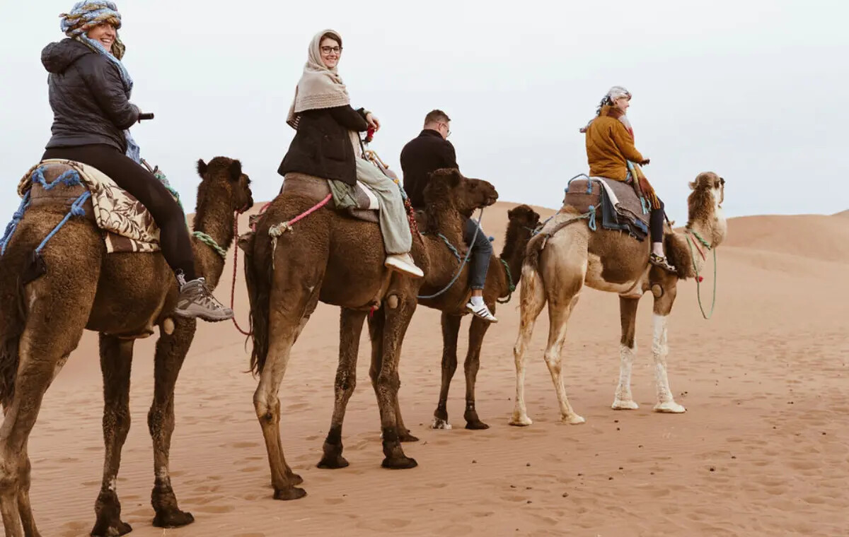 Four guests riding camels in single file across the sand at Erg Chebbi